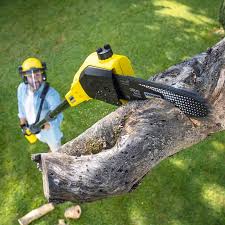 Best Artificial Turf Installation  in Zapata, TX